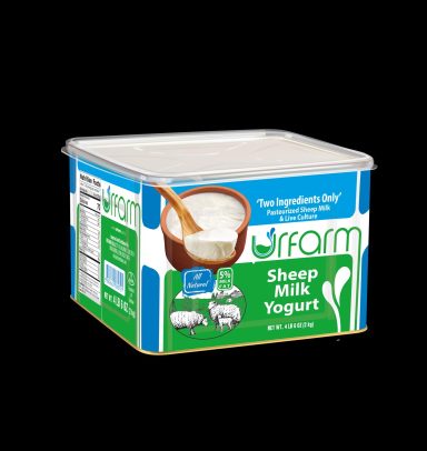 Container of sheep milk yogurt with a wooden spoon on a black background.